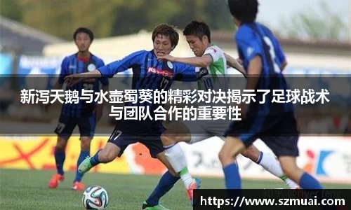 DB旗舰官网